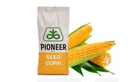   9074, Pioneer