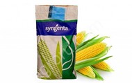   , Syngenta